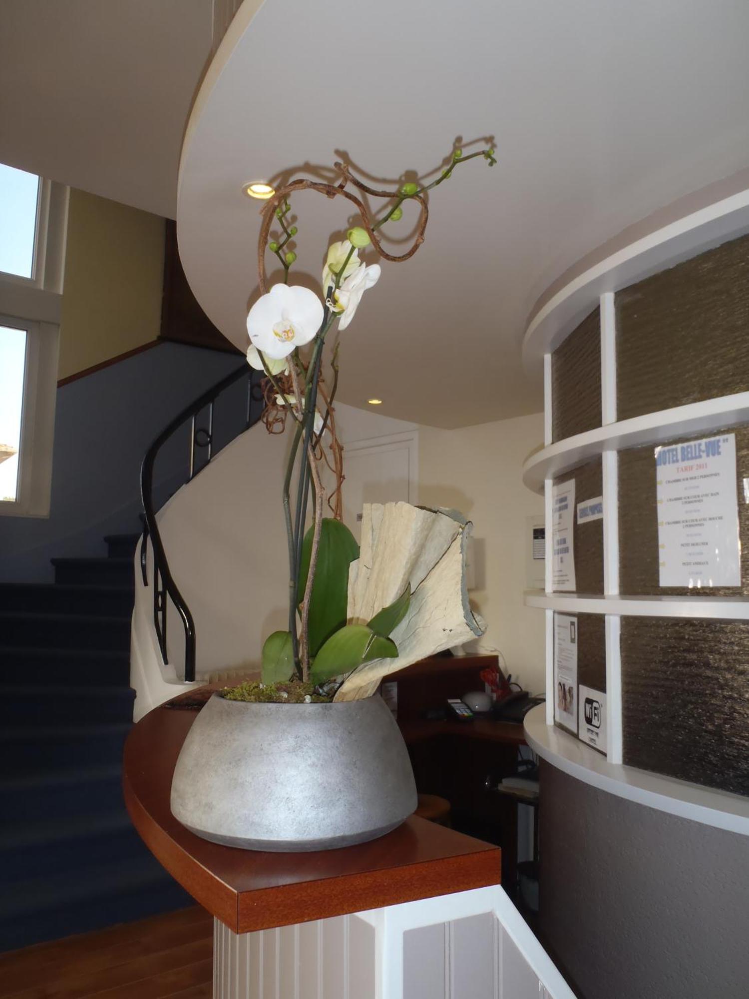 Hotel Belle Vue Royan Dış mekan fotoğraf
